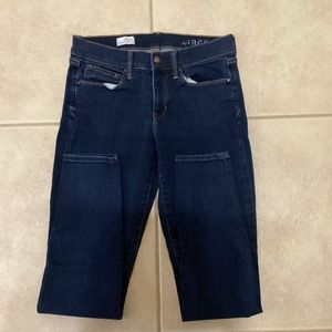 GAP 1969 Jegging Jeans Size 6R/28